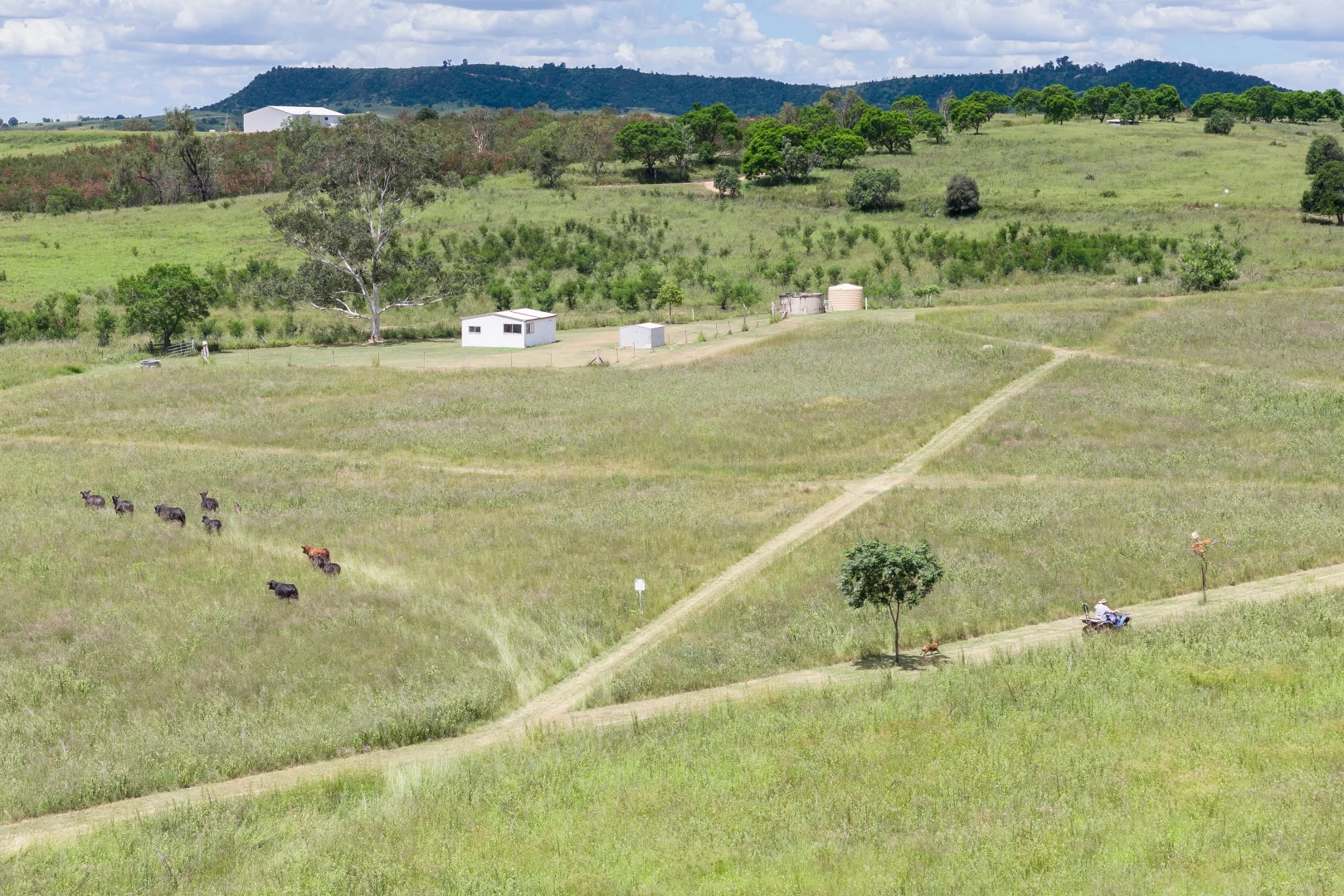 Additional image 13 of 120 Stephens Road, Flagstone Creek QLD 4344