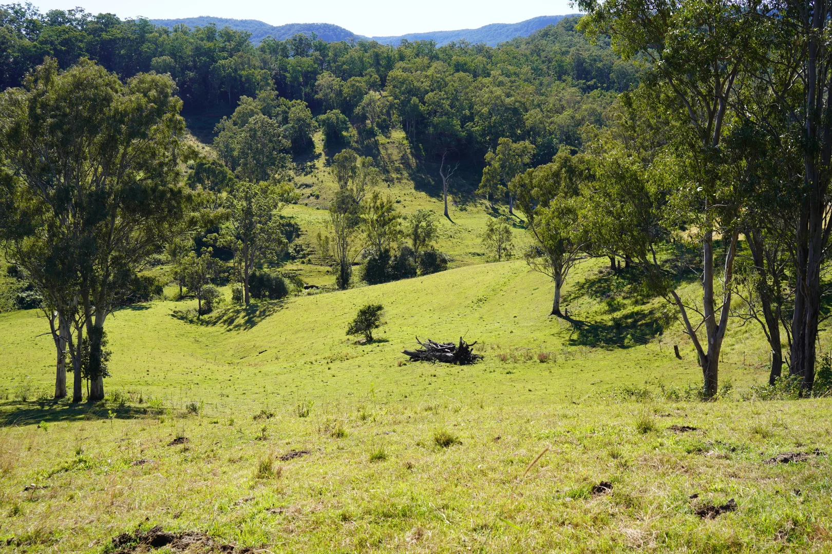 Additional image 14 of 2425 Pine Creek Rd, Lismore NSW 2480