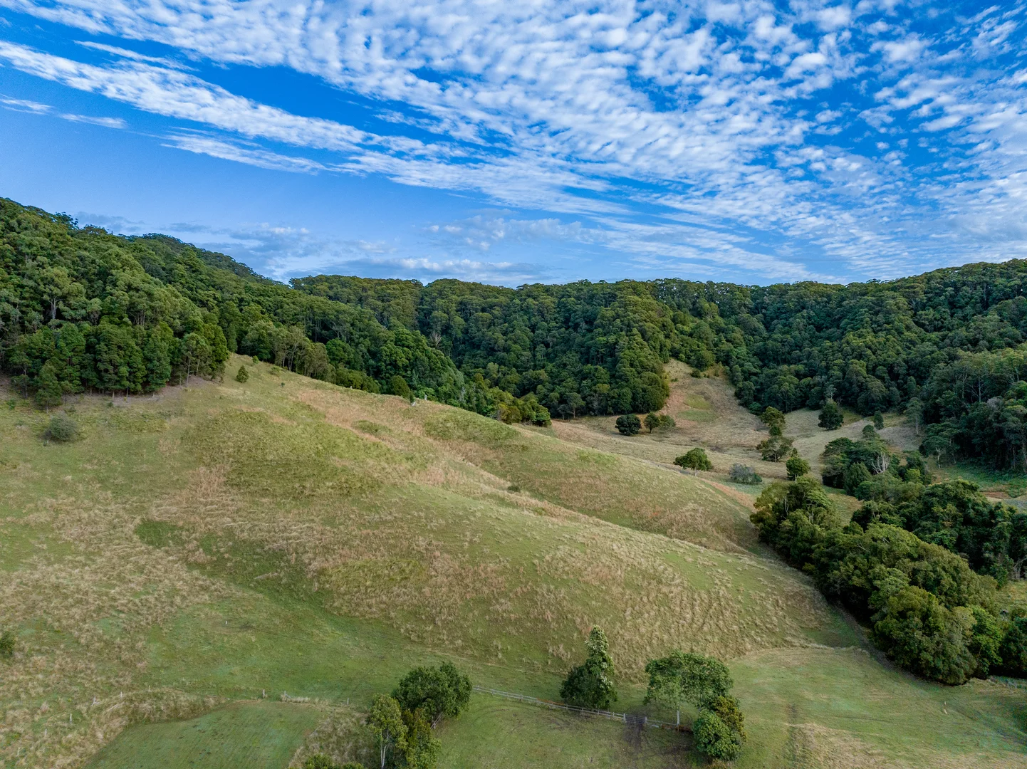 Additional image 41 of Sleepy Hollow NSW 2483