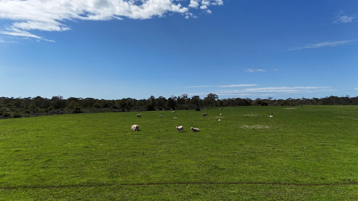 Additional image 3 of 220 Harlocks Road, Pomborneit North VIC 3260