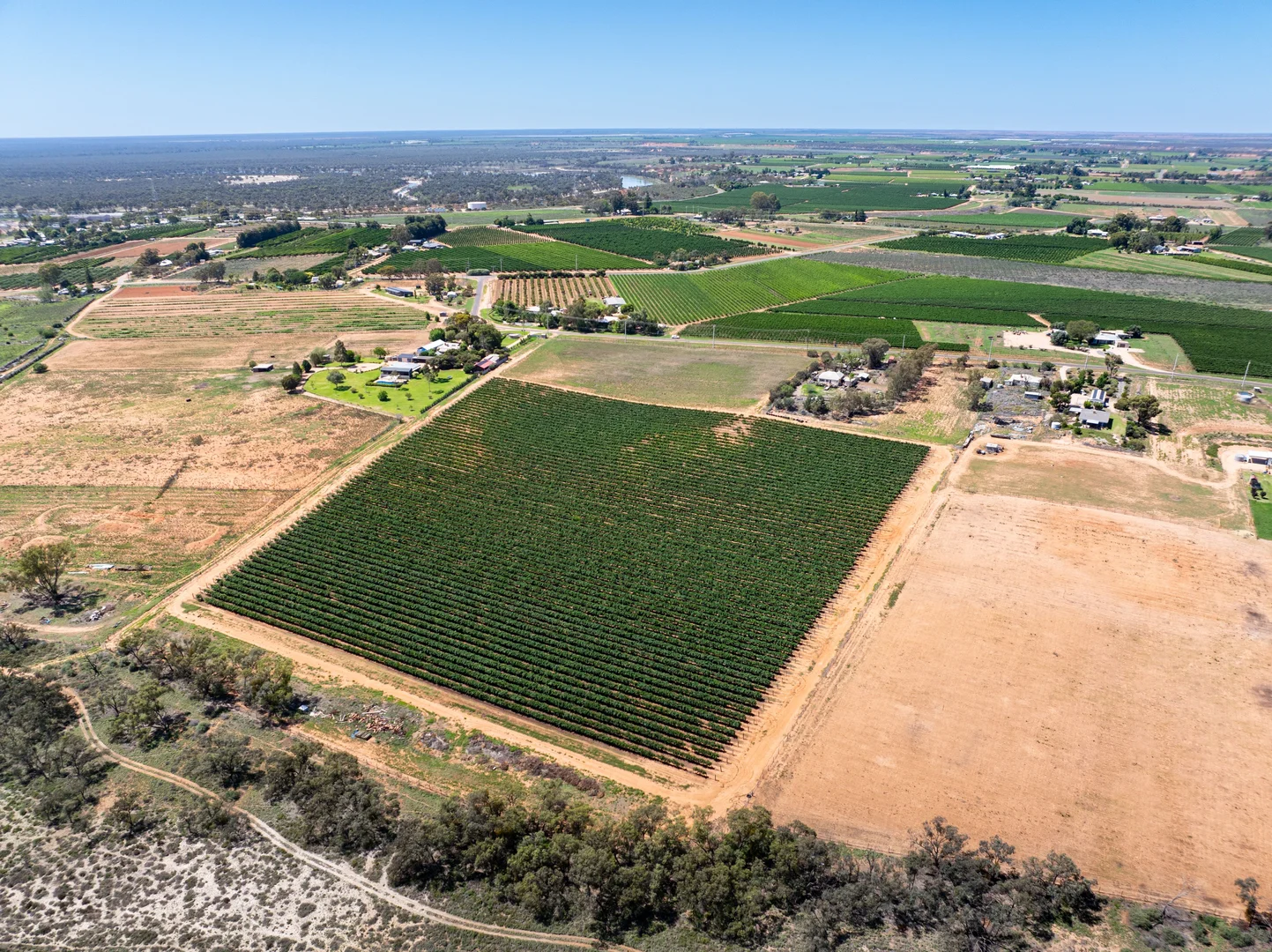 Additional image 7 of Lot 2 Buloke Street, Red Cliffs VIC 3496
