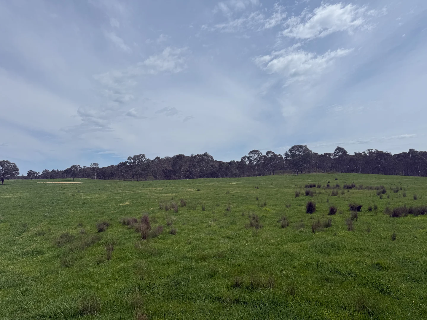 Additional image 17 of 569 & 640 Blakney Creek North Road, Blakney Creek NSW 2581