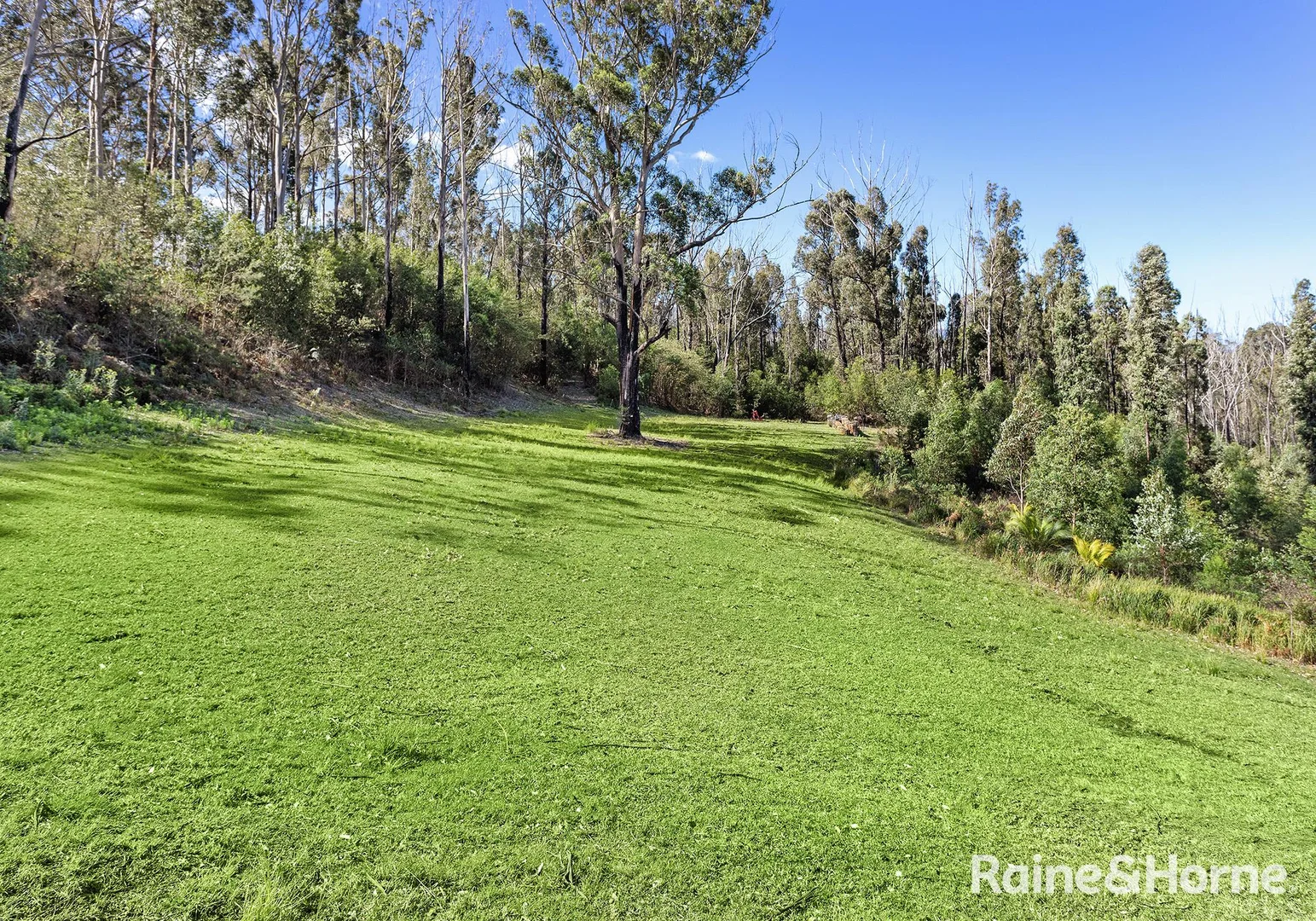 Additional image 19 of 1420 Illaroo Road, Illaroo NSW 2540