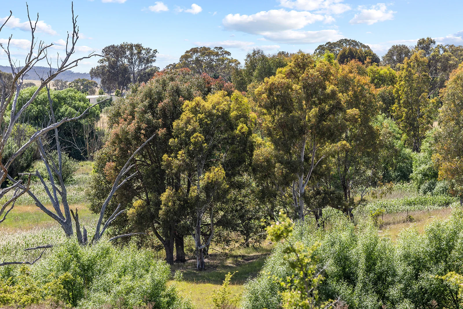 Additional image 28 of 193 Lucernvale Road, Yass NSW 2582