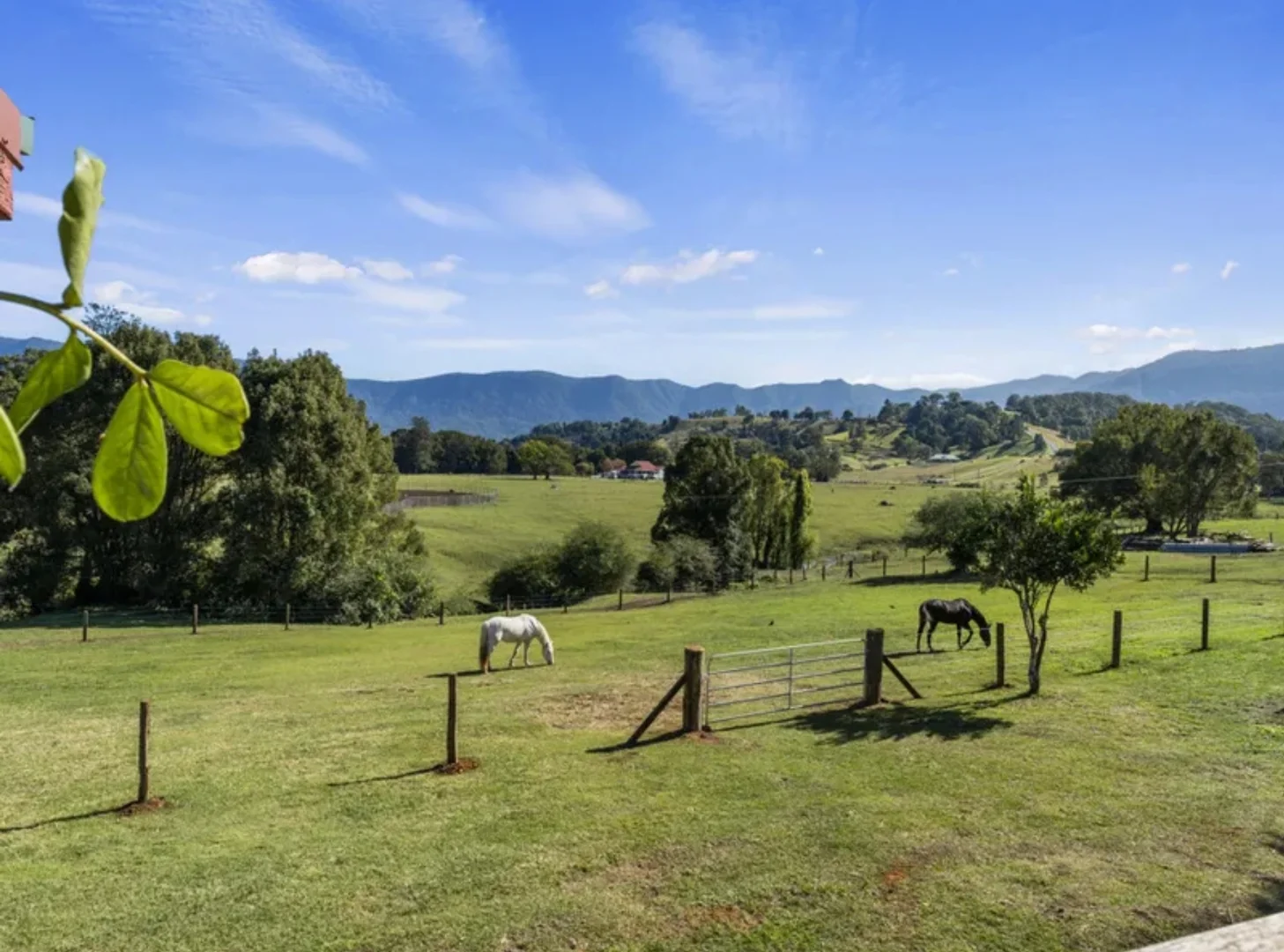 Additional image 15 of 30 Larkins Road, Tyalgum NSW 2484