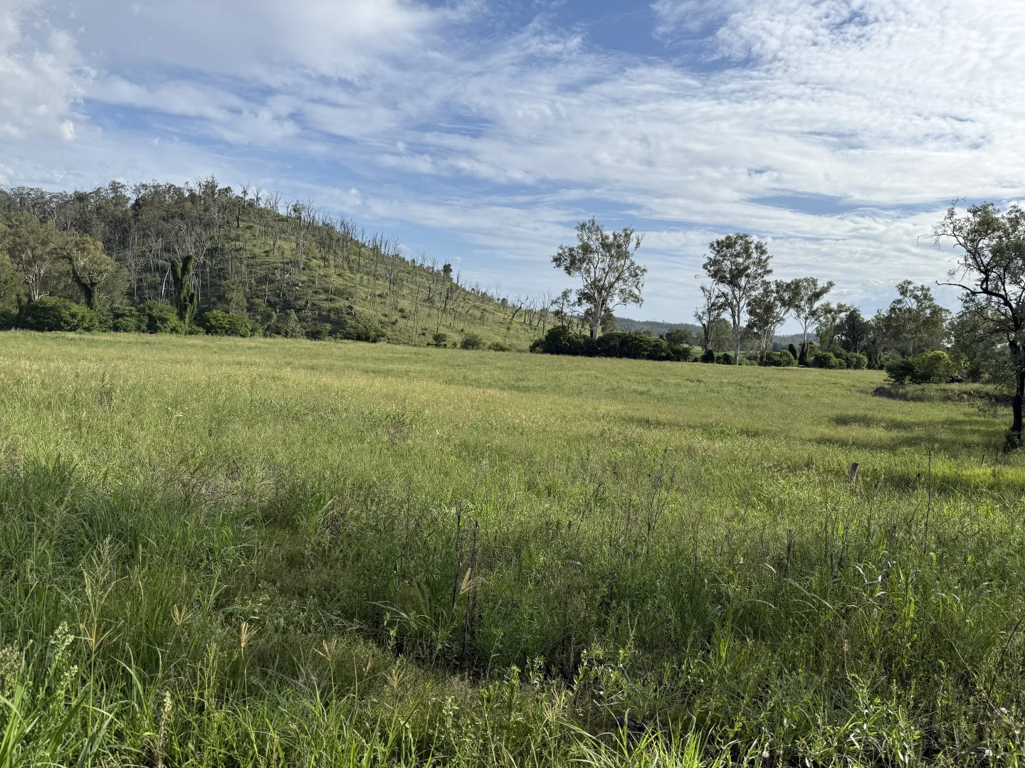 Additional image 7 of 379 Dakiel Road, Bancroft QLD 4630