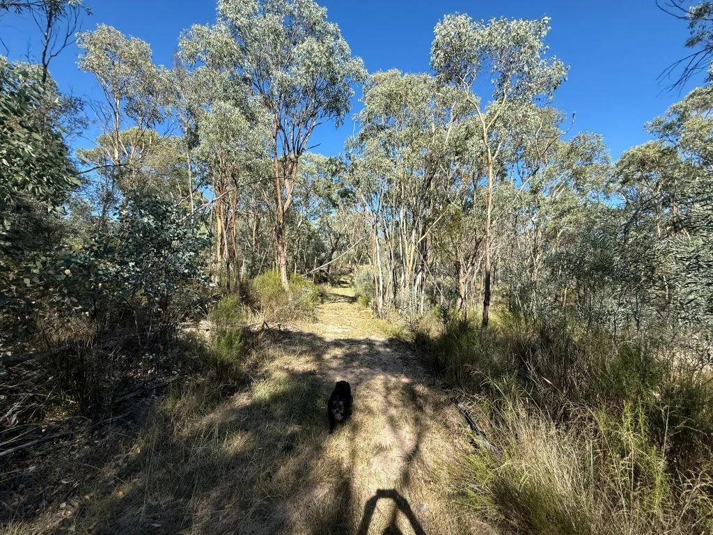 Additional image 38 of 149 Horans Gorge Rd, Fletcher QLD 4381