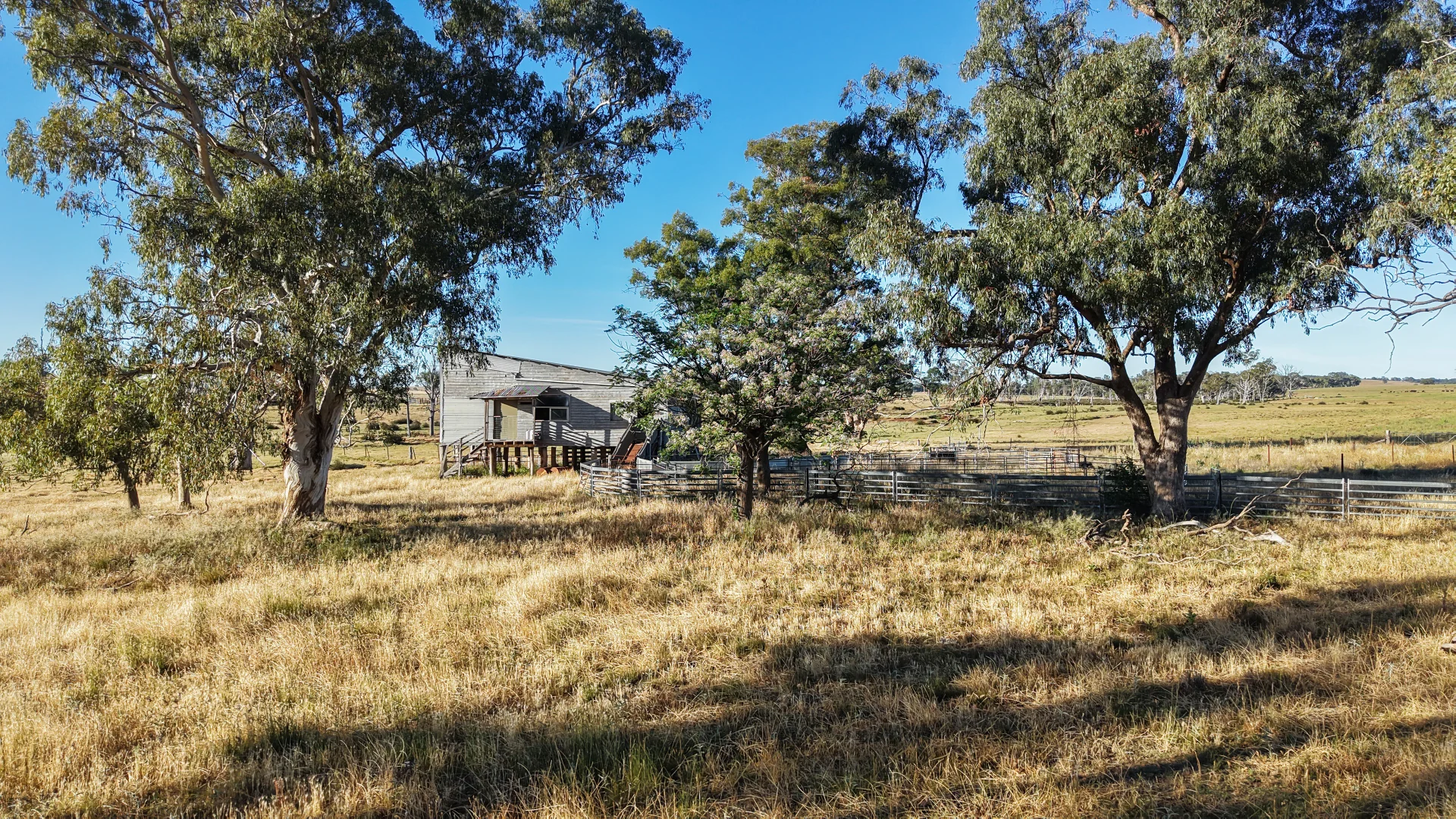 Additional image 24 of The Ranch 27R Plain Creek Road, Wongarbon NSW 2831