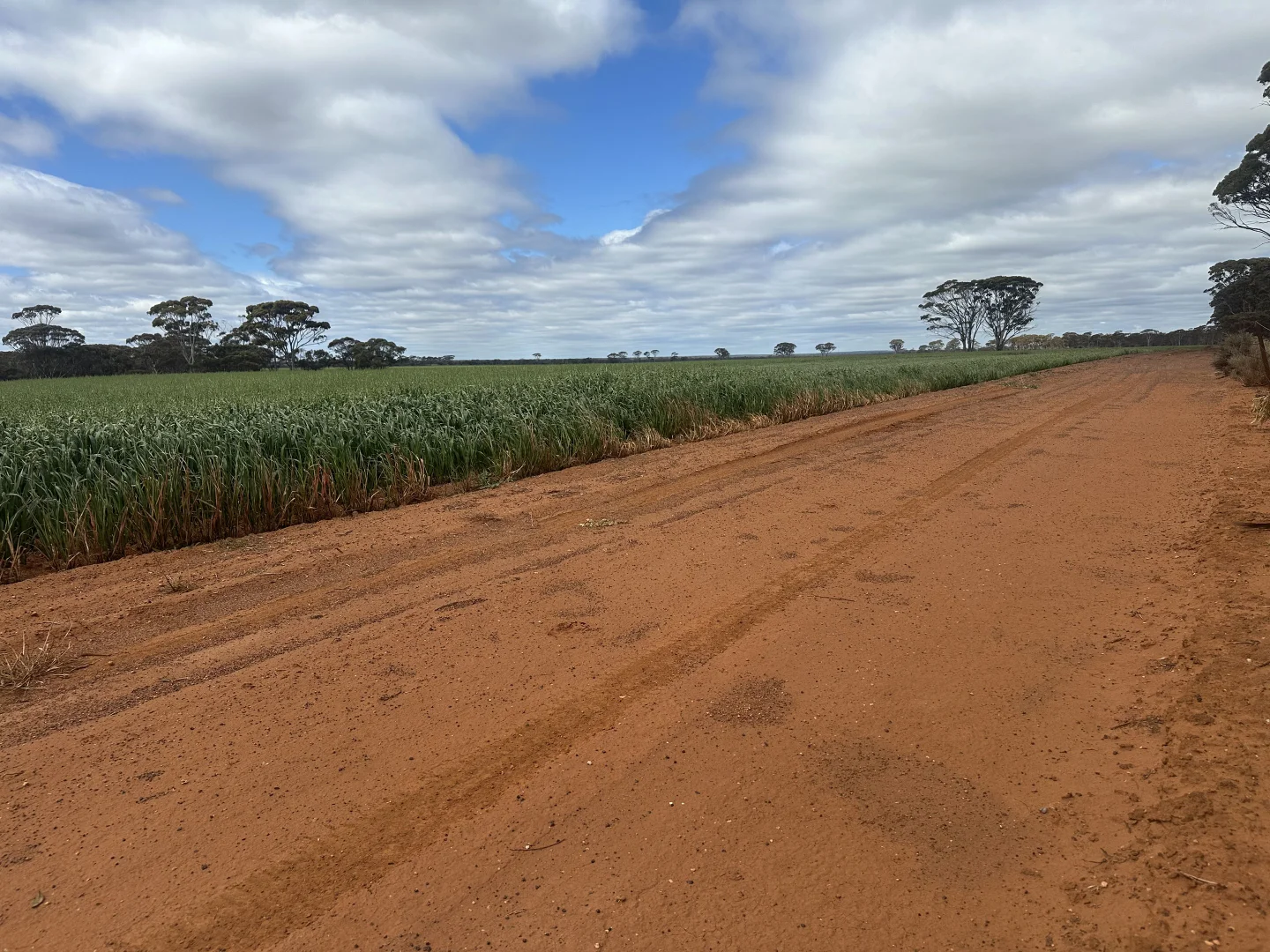 Additional image 30 of 3279 Calzoni Road, Hyden WA 6359