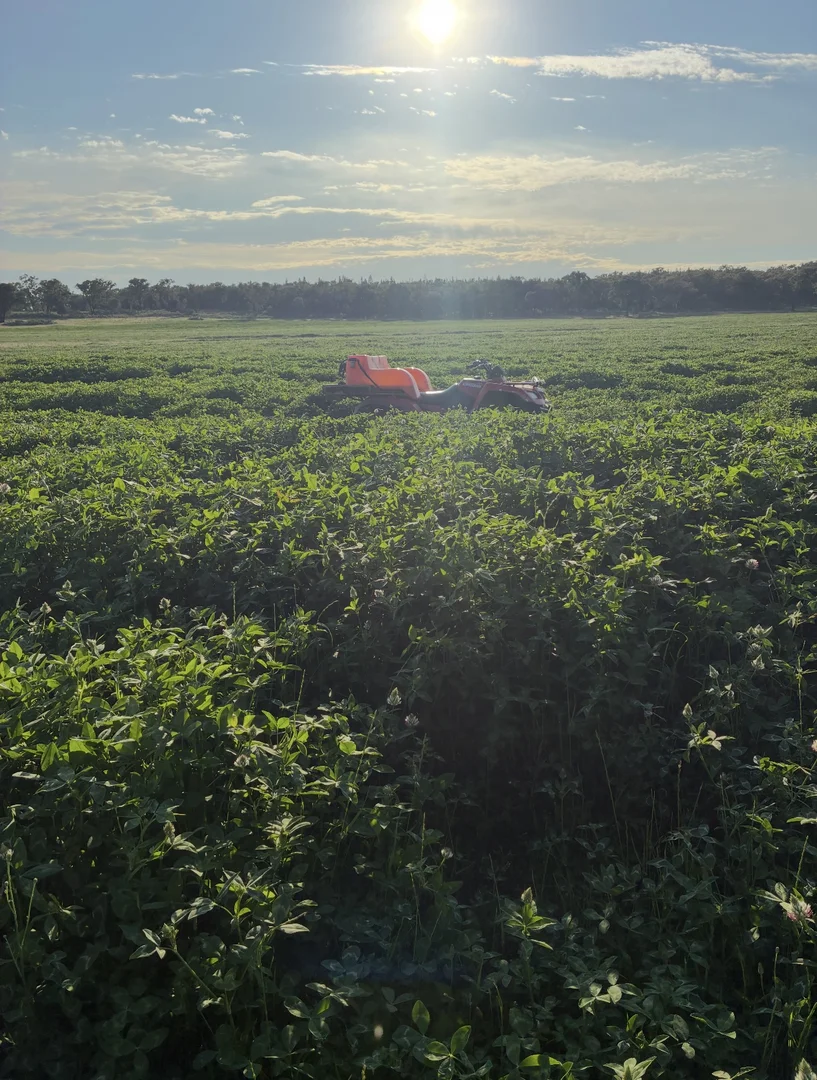 Additional image 16 of 2824 Neilrex Road, Neilrex NSW 2831