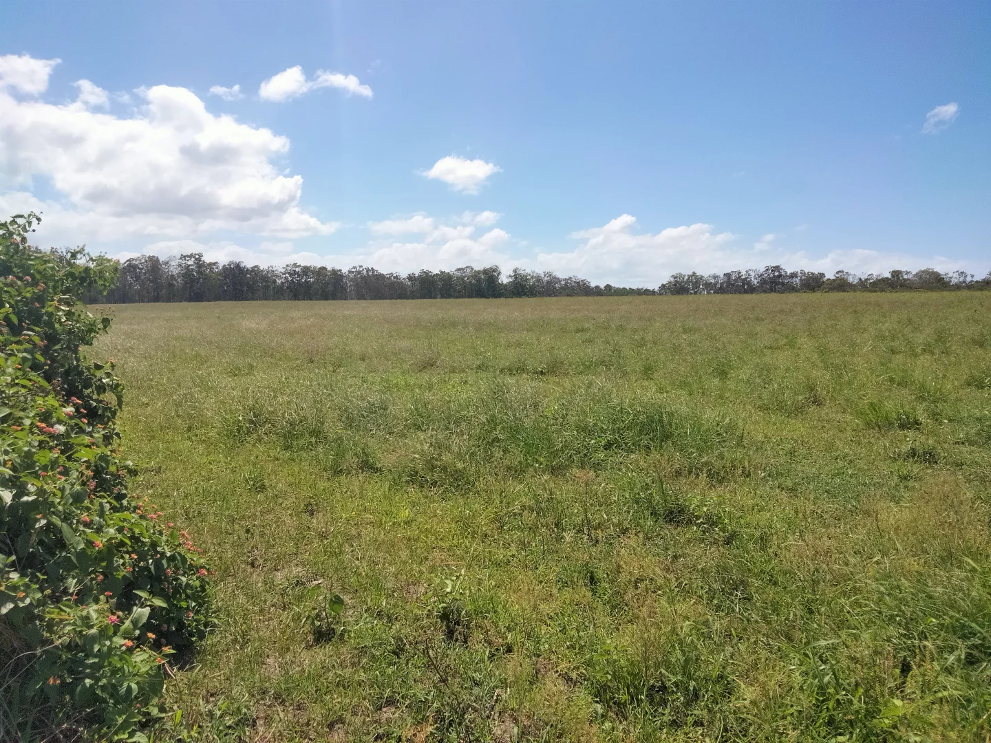 Additional image 12 of 2913 Rosedale Road, Yandaran QLD 4673