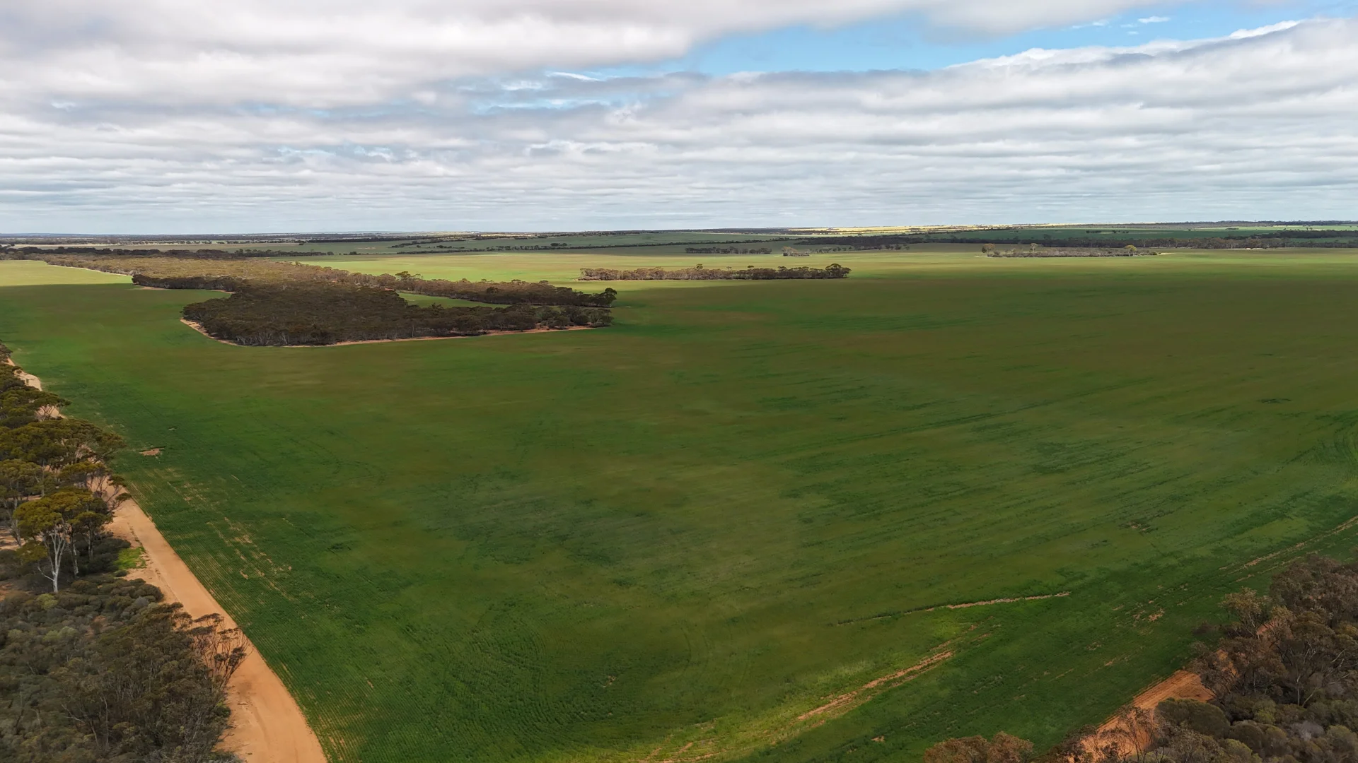 Additional image 13 of 3279 Calzoni Road, Hyden WA 6359