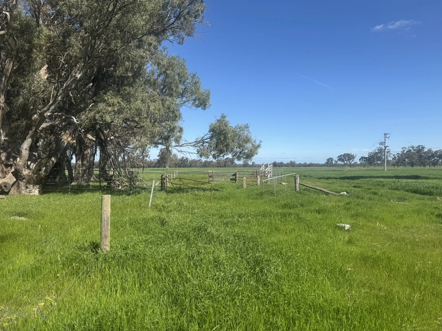 Additional image 24 of . Bangerang Road, Kanyapella VIC 3564