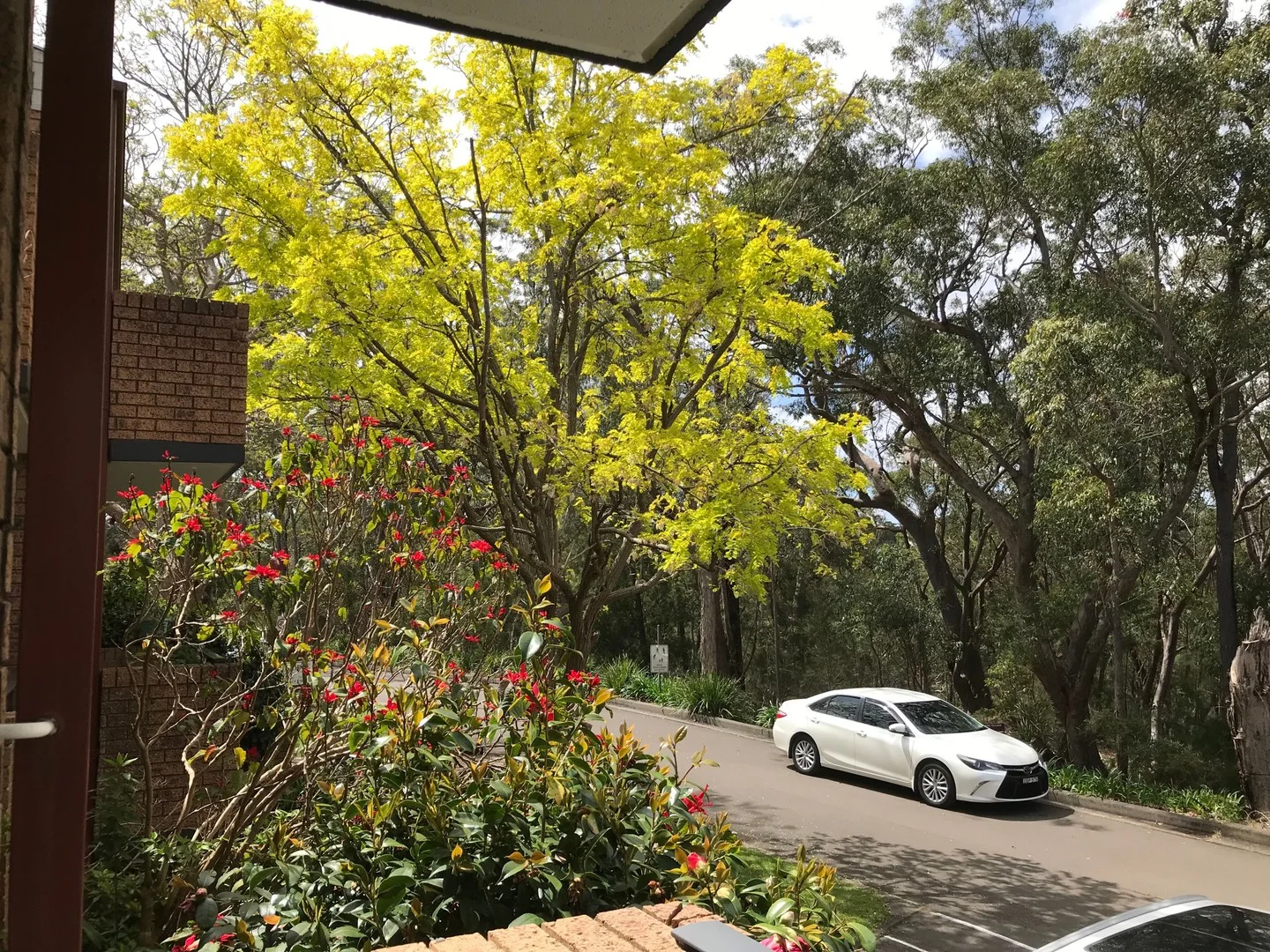 Additional image 6 of UNIT 104/2 KITCHENER ROAD, Cherrybrook NSW 2126