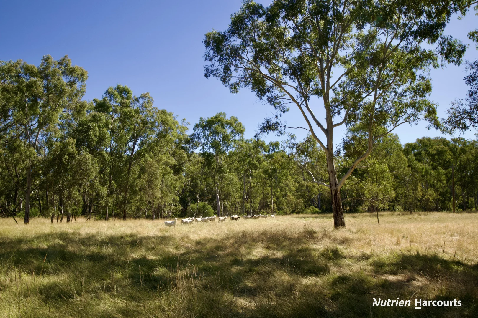 Additional image 26 of 579 Casterton - Dartmoor Road, Bahgallah VIC 3312