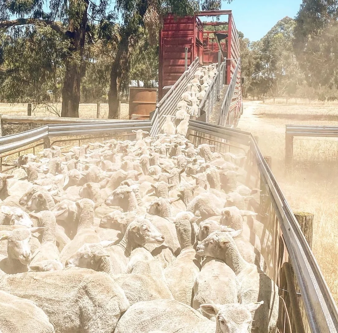 Additional image 26 of Lot/11 Casterton Apsley Road, Apsley VIC 3319