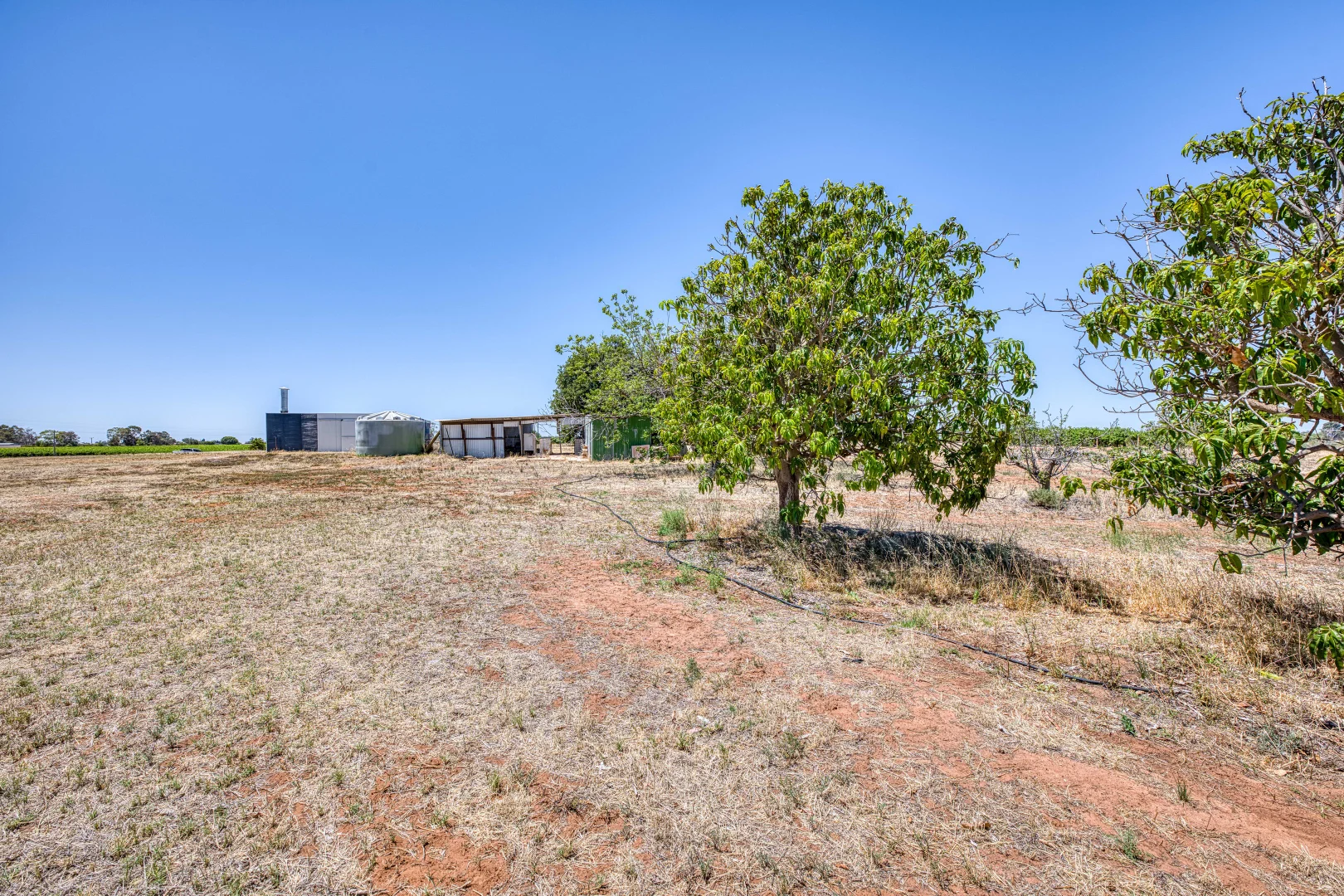 Additional image 6 of 37 Trioda Street, Red Cliffs VIC 3496