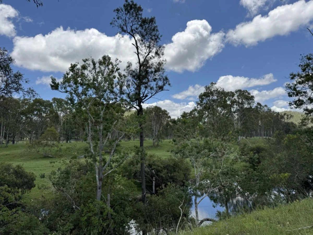 Additional image 31 of 2655 Clonmel Road, Monto QLD 4630