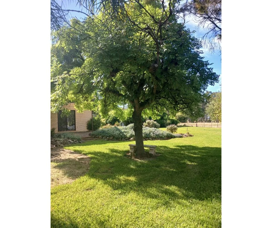 Additional image 25 of 511 Walbundrie Road, Culcairn NSW 2660