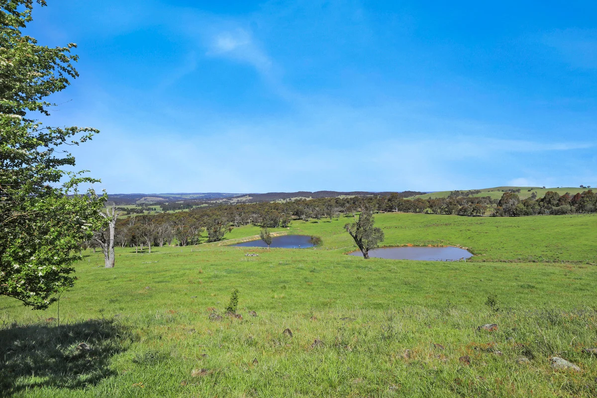 Additional image 21 of 3108 Middle Arm Road, Roslyn, Goulburn NSW 2580