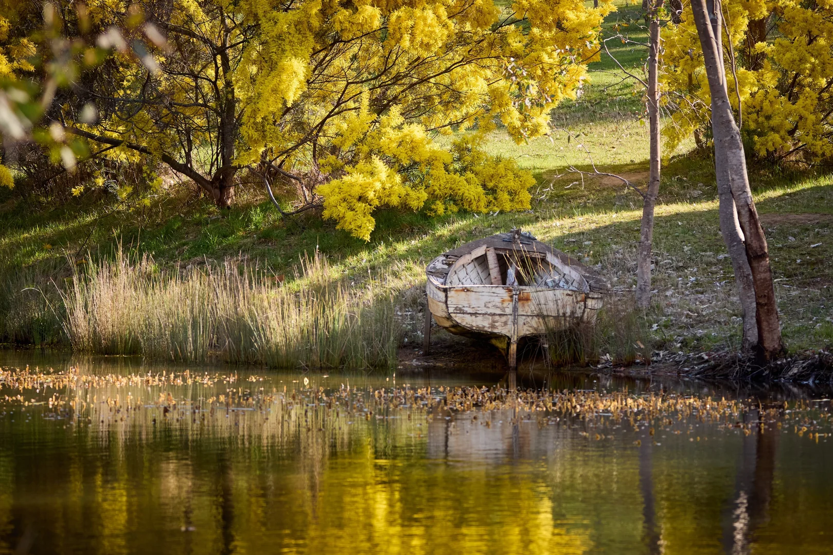 Additional image 17 of 590 Old Tolmie Road, Barwite VIC 3722