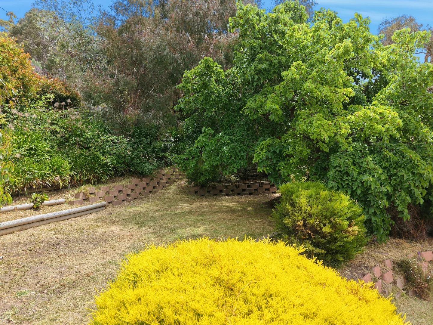 Additional image 8 of 1 Cordelia Court, Rosetta TAS 7010