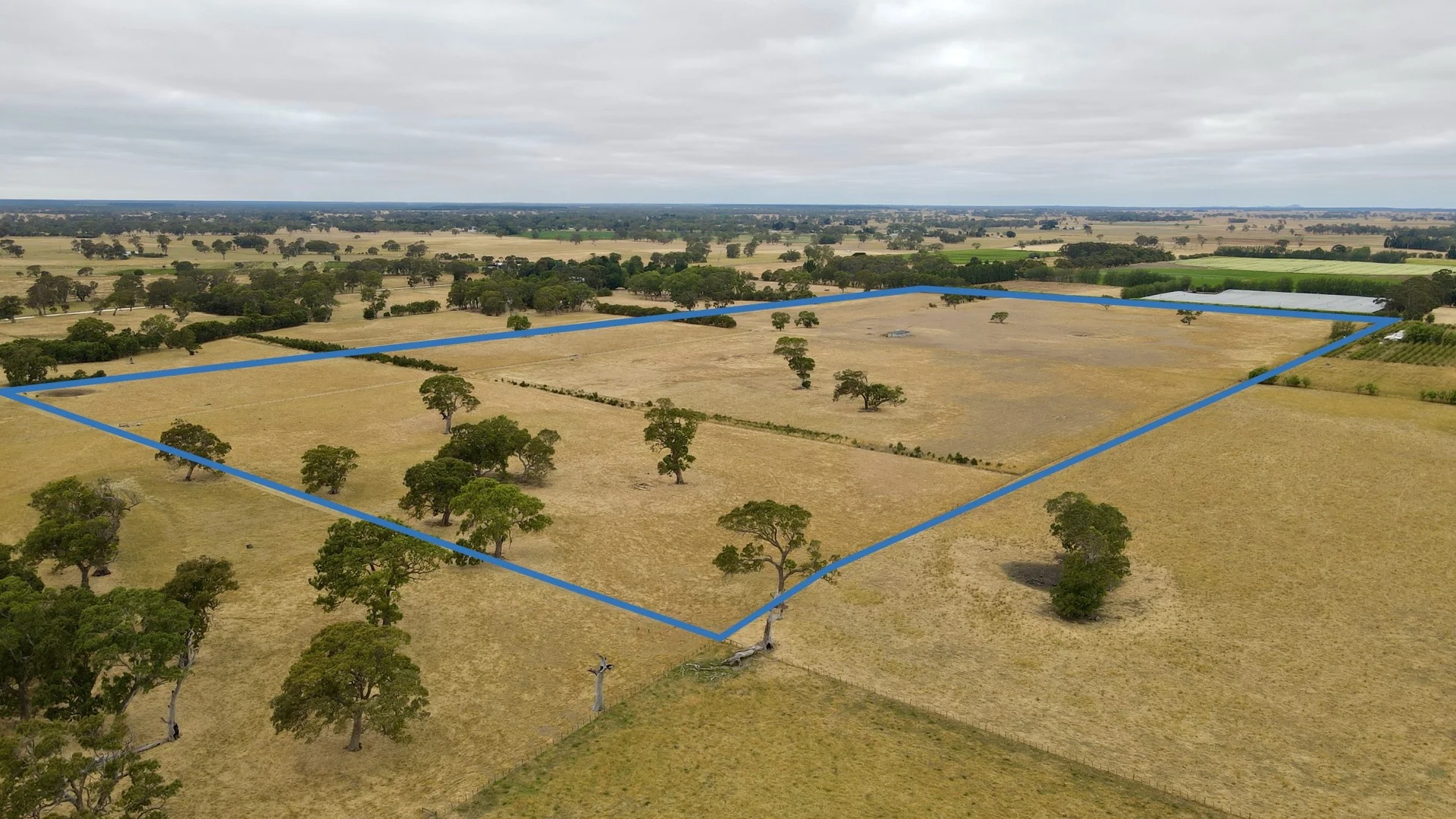 Lot 899 Mount McIntyre Road, Kalangadoo SA 5278