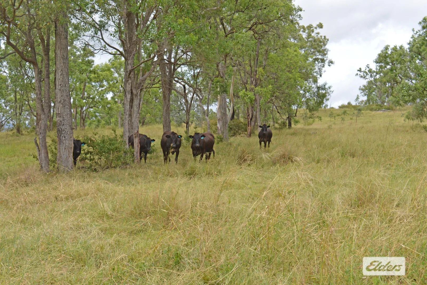 Additional image 14 of 10 Razorback Creek Road, Rivertree NSW 2372