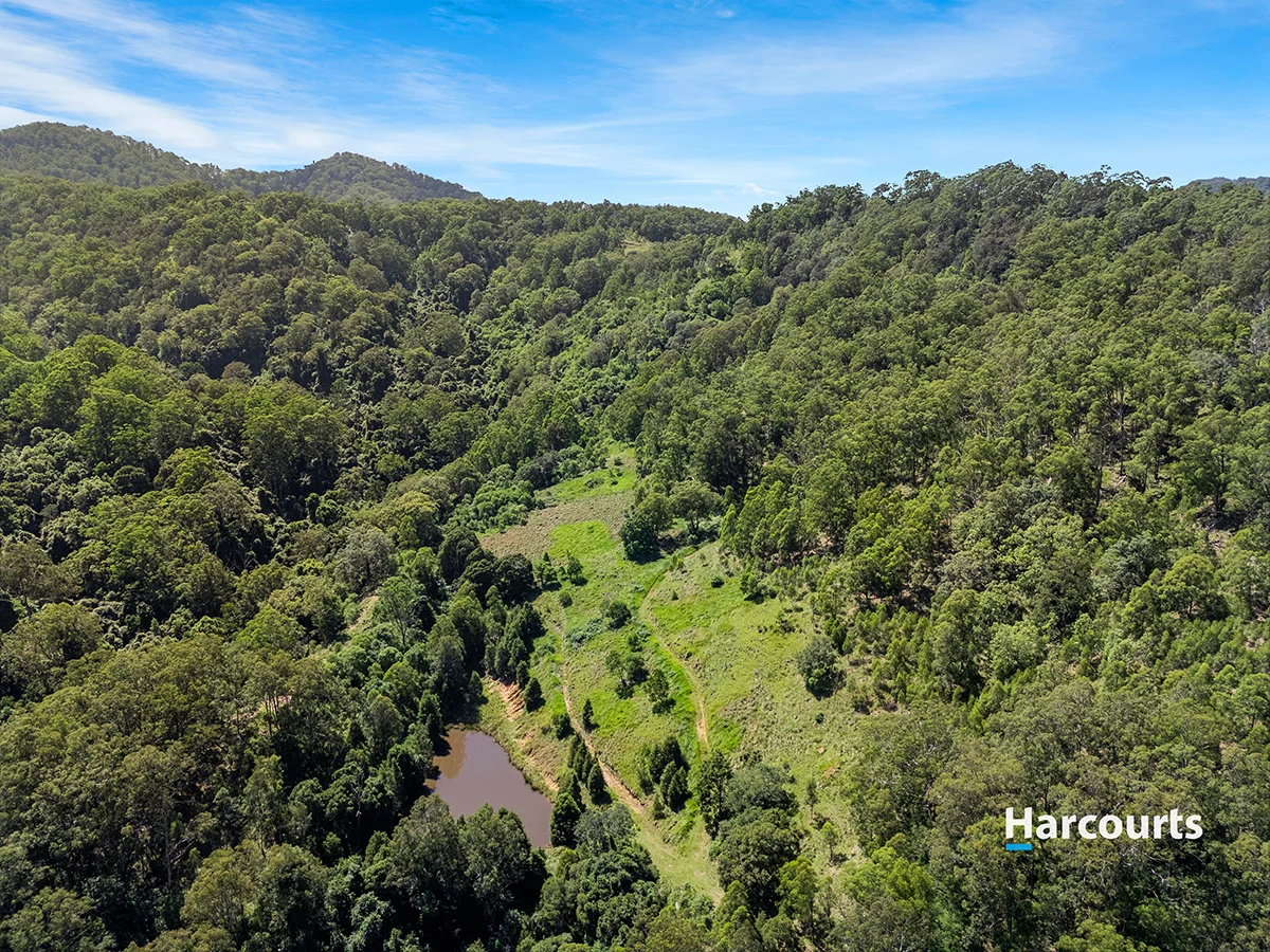 Additional image 6 of 815 Goorangoola Creek Road, Goorangoola NSW 2330