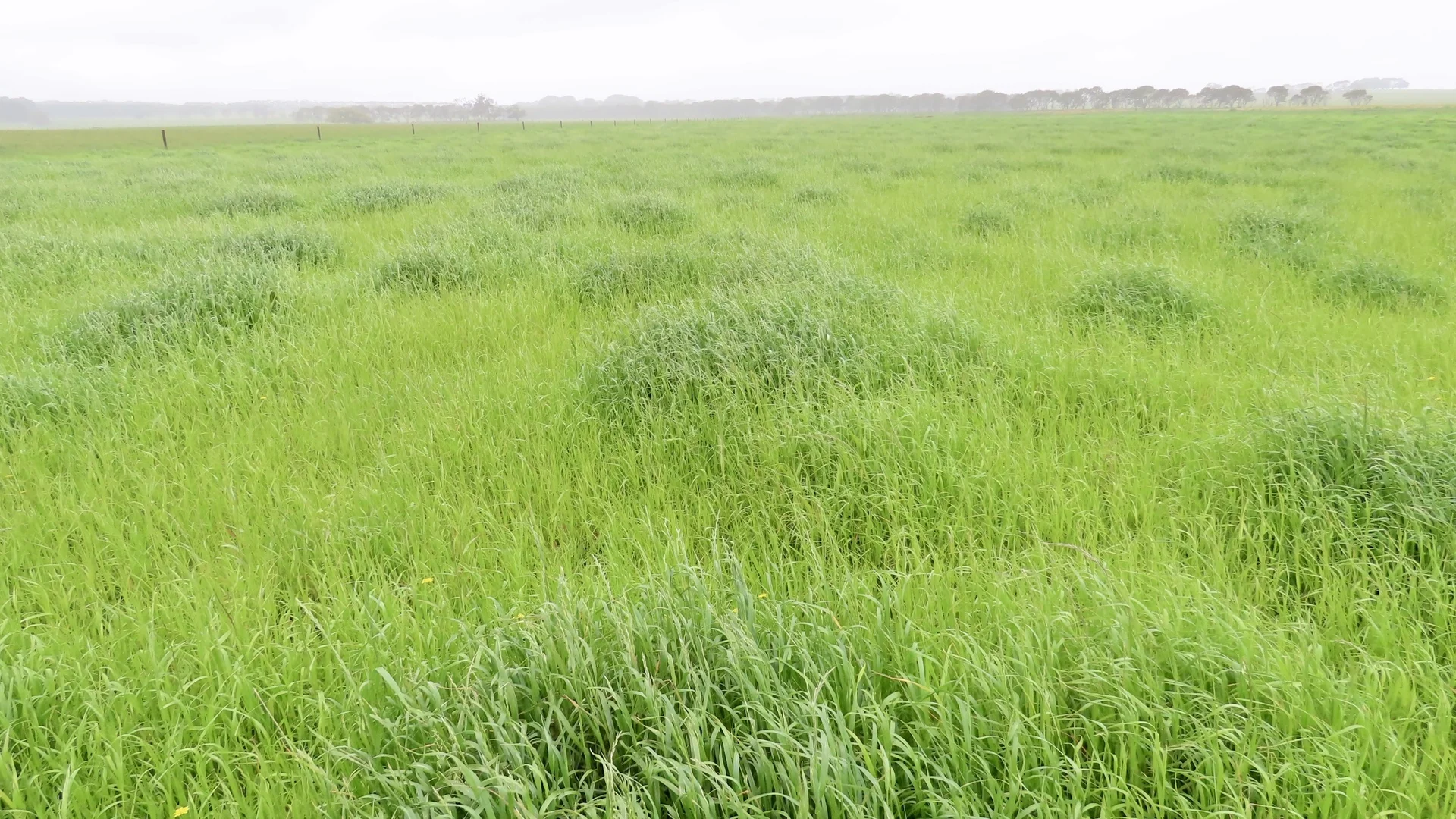 Additional image 25 of Contact Agent, Macarthur VIC 3286