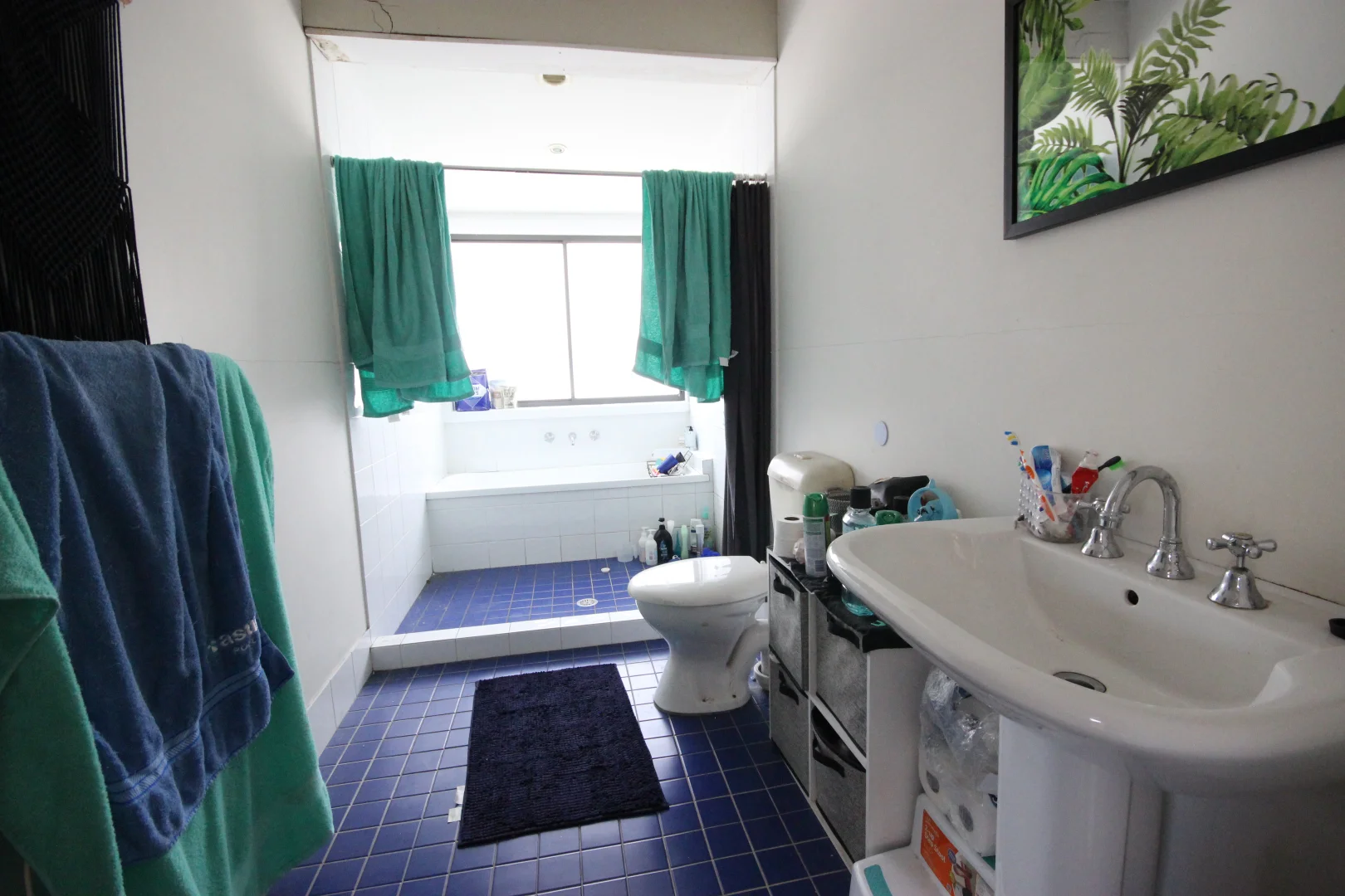 Additional image 25 of 207 Redmanvale Road, Jerrys Plains NSW 2330