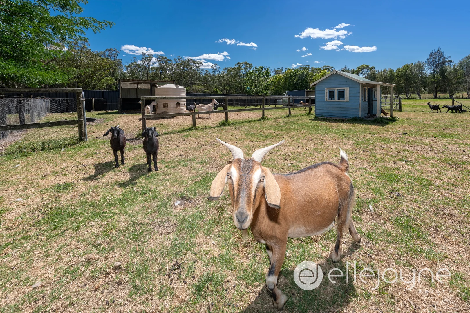 Additional image 23 of 10 Marconi Road, Morisset NSW 2264
