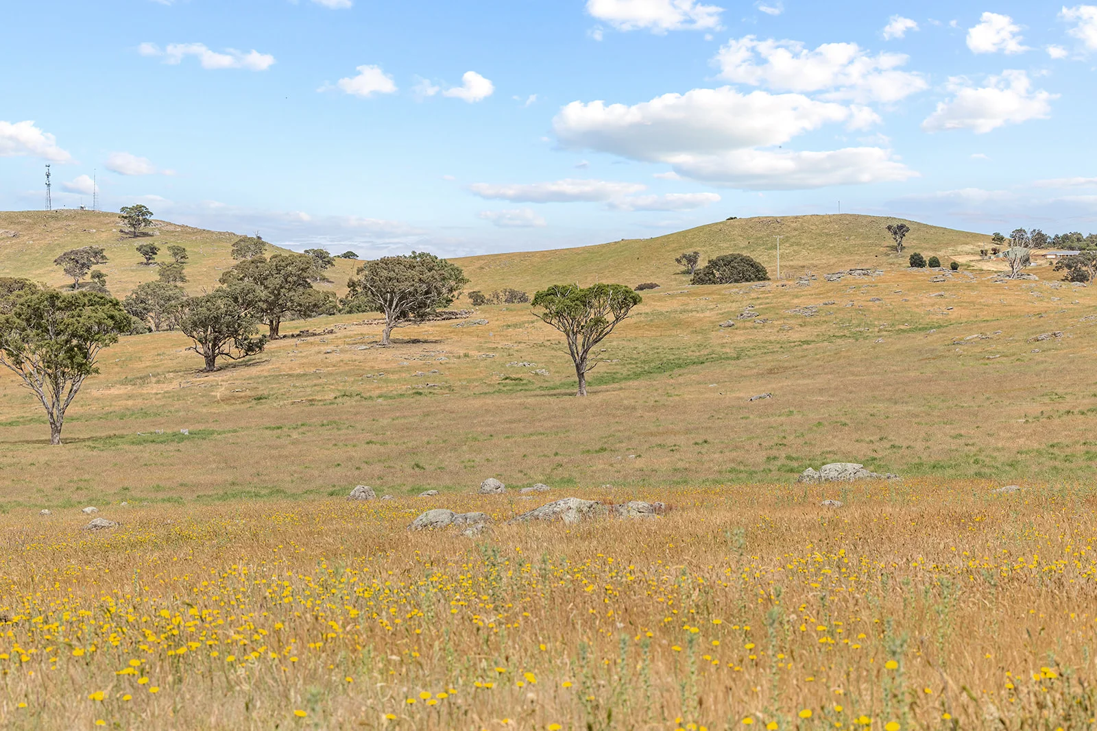 Additional image 25 of 193 Lucernvale Road, Yass NSW 2582