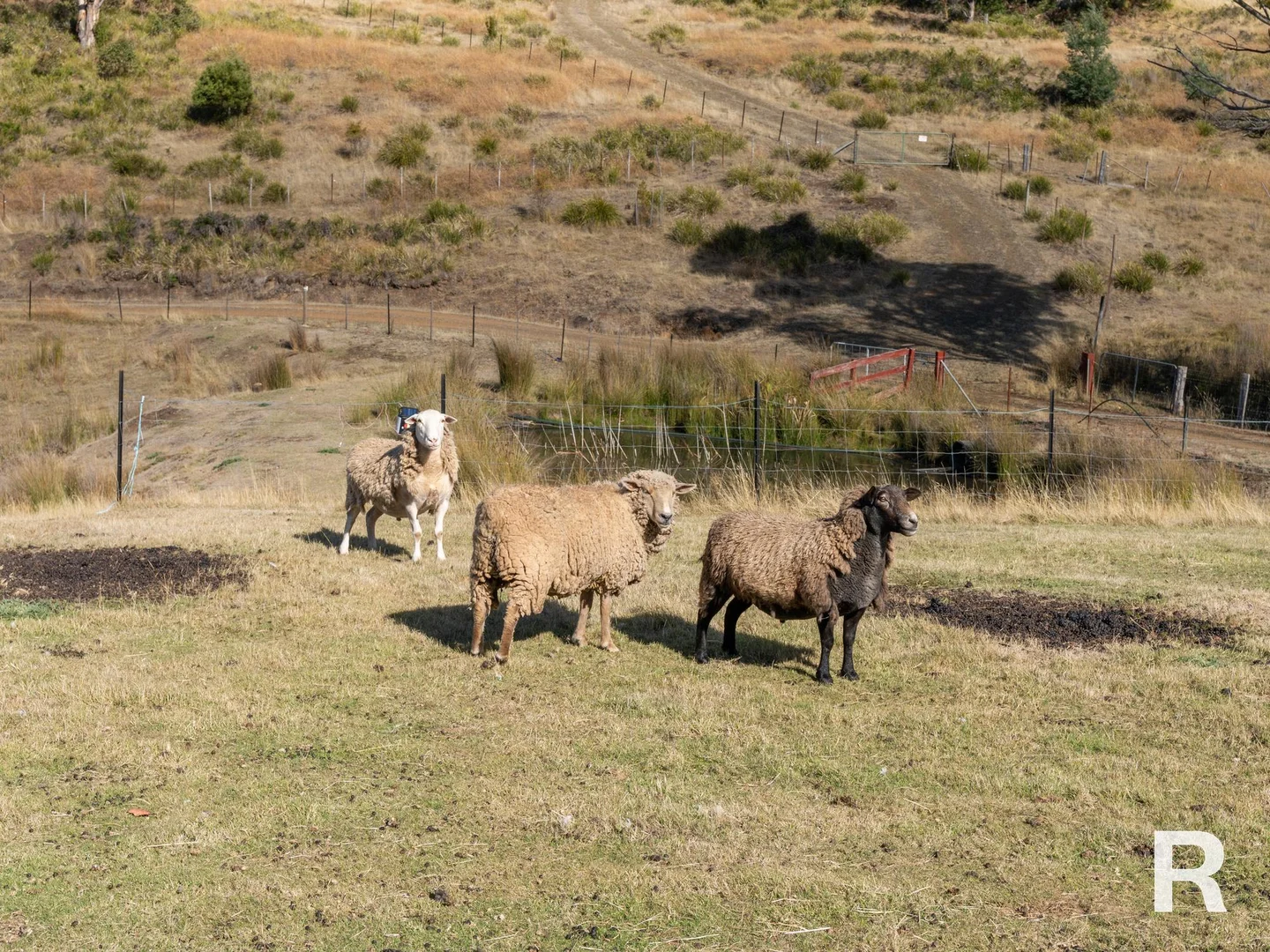 Additional image 25 of 8613 Lyell Highway, Ouse TAS 7140