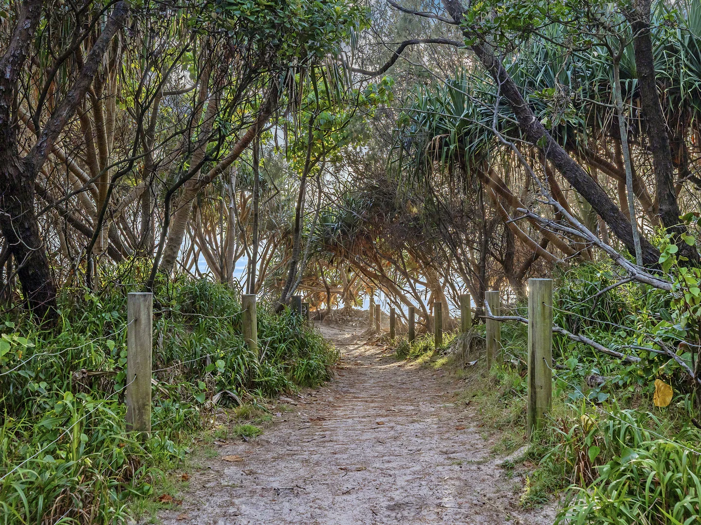 Additional image 7 of 49 Cylinders Drive, Kingscliff NSW 2487