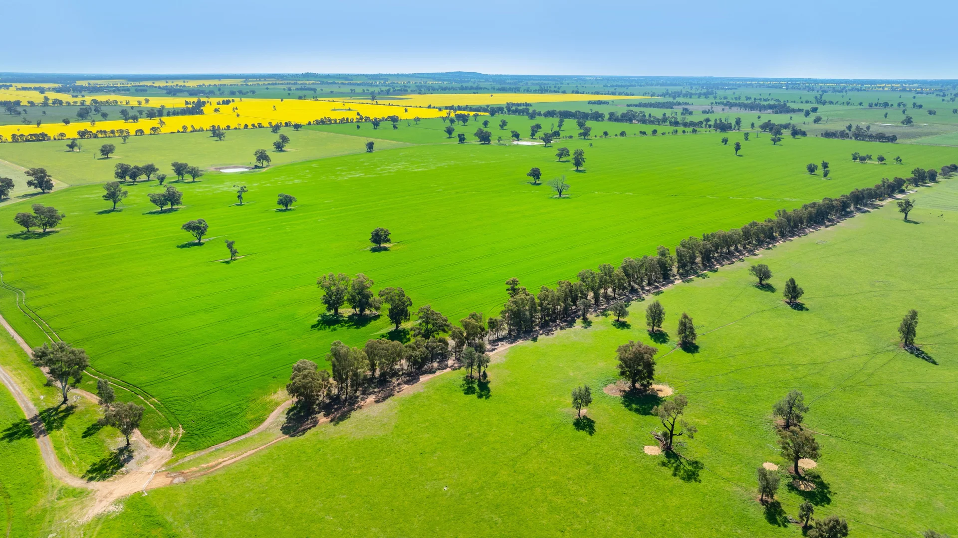 Additional image 20 of BOOROOL Mossdale Road, Balldale NSW 2646