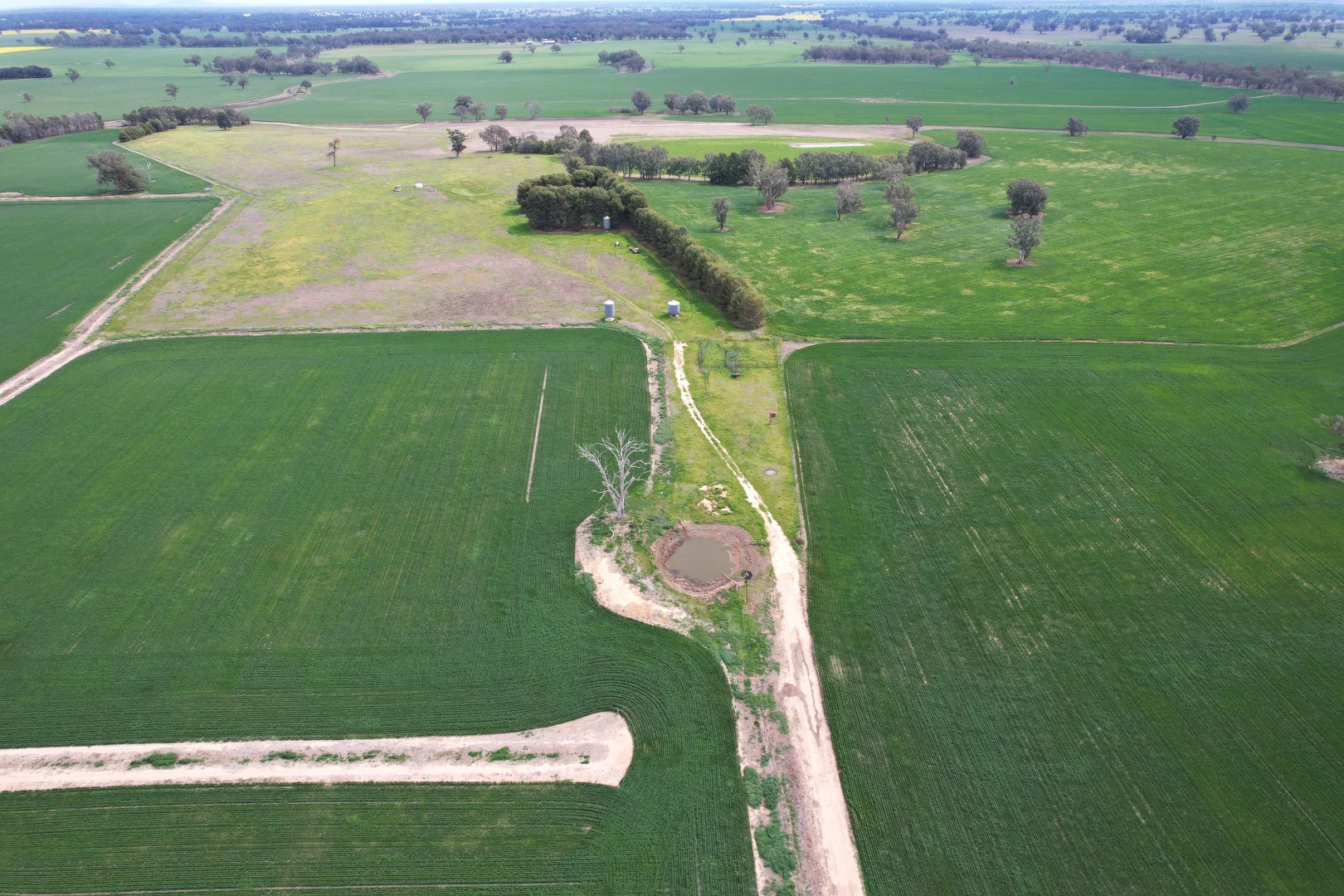 Additional image 5 of 2071 Yarrabandai Road, Bedgerabong NSW 2871