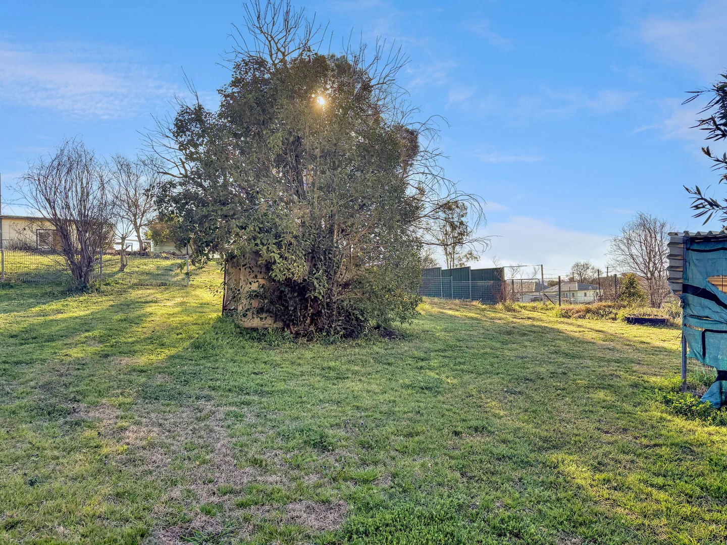 Additional image 10 of 153 Queen Street, Barraba NSW 2347