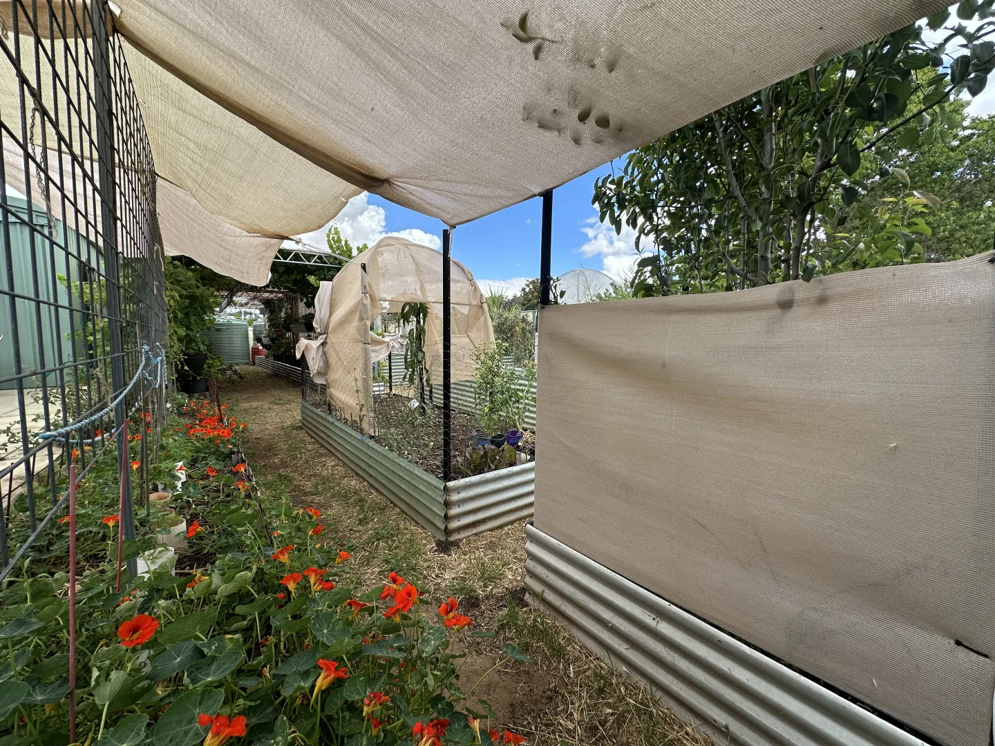 Additional image 23 of 22 Rifle North Street, Wagin WA 6315