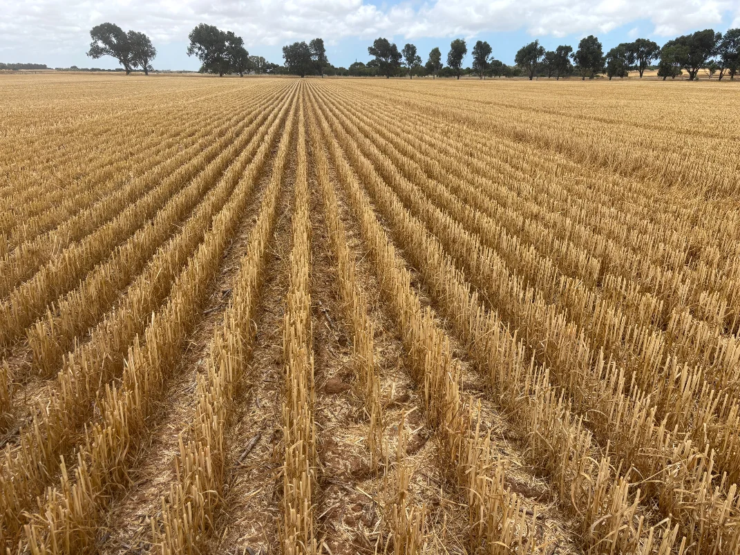 Additional image 3 of Lot 8 Edward Road, Narngulu WA 6532