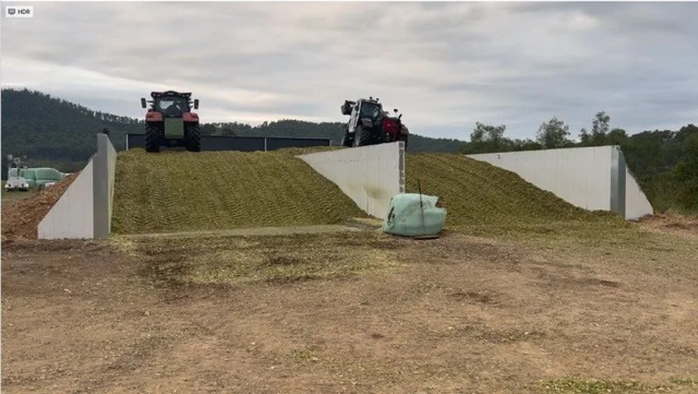 Additional image 9 of 800 Toms Gully Rd, Hickeys Creek NSW 2440