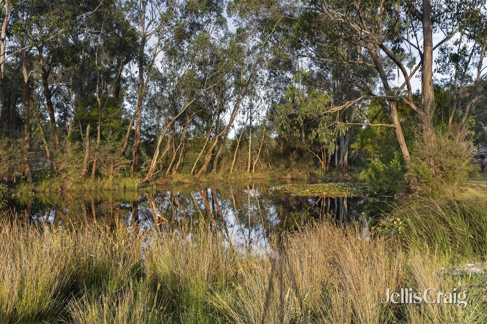 Additional image 29 of 24 Rodger Road, Wandin North VIC 3139