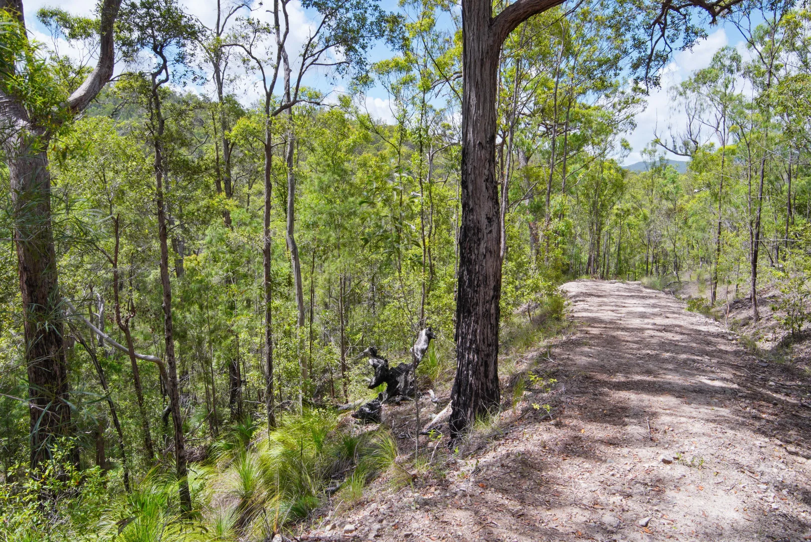 Additional image 15 of Agnes Water QLD 4677