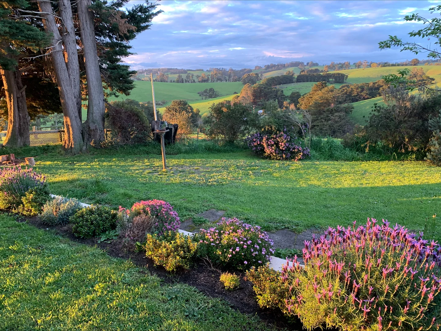 Additional image 38 of 520 Clear Creek Road, Mirboo VIC 3871