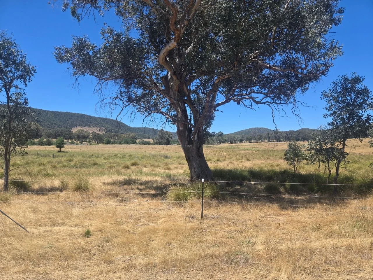 Additional image 12 of "Abercorn", 2154 Kangarooby Road, Gooloogong NSW 2805