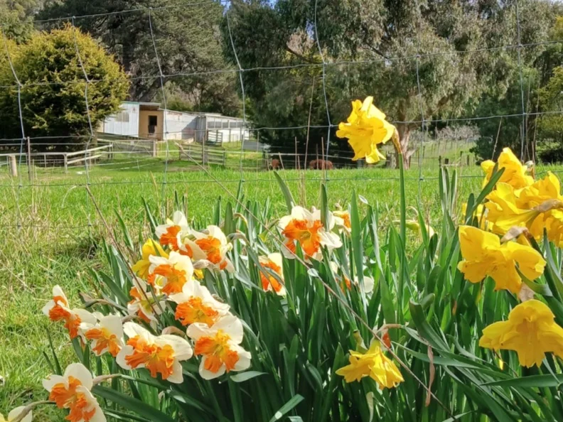 Additional image 6 of 74 Fosters Road, Wynyard TAS 7325