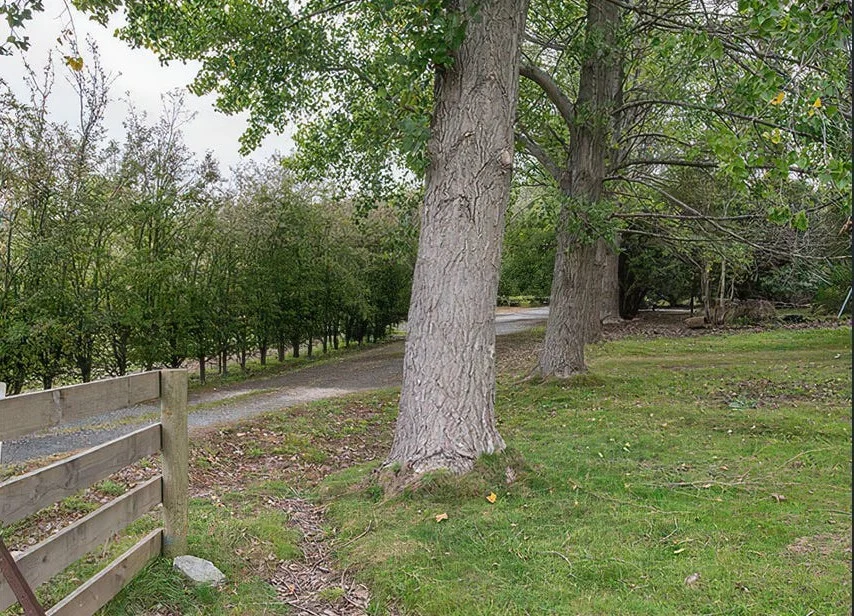 Additional image 6 of 2204 East Tamar Highway, Mount Direction TAS 7252