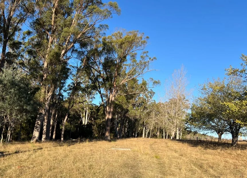 Additional image 3 of 2204 East Tamar Highway, Mount Direction TAS 7252