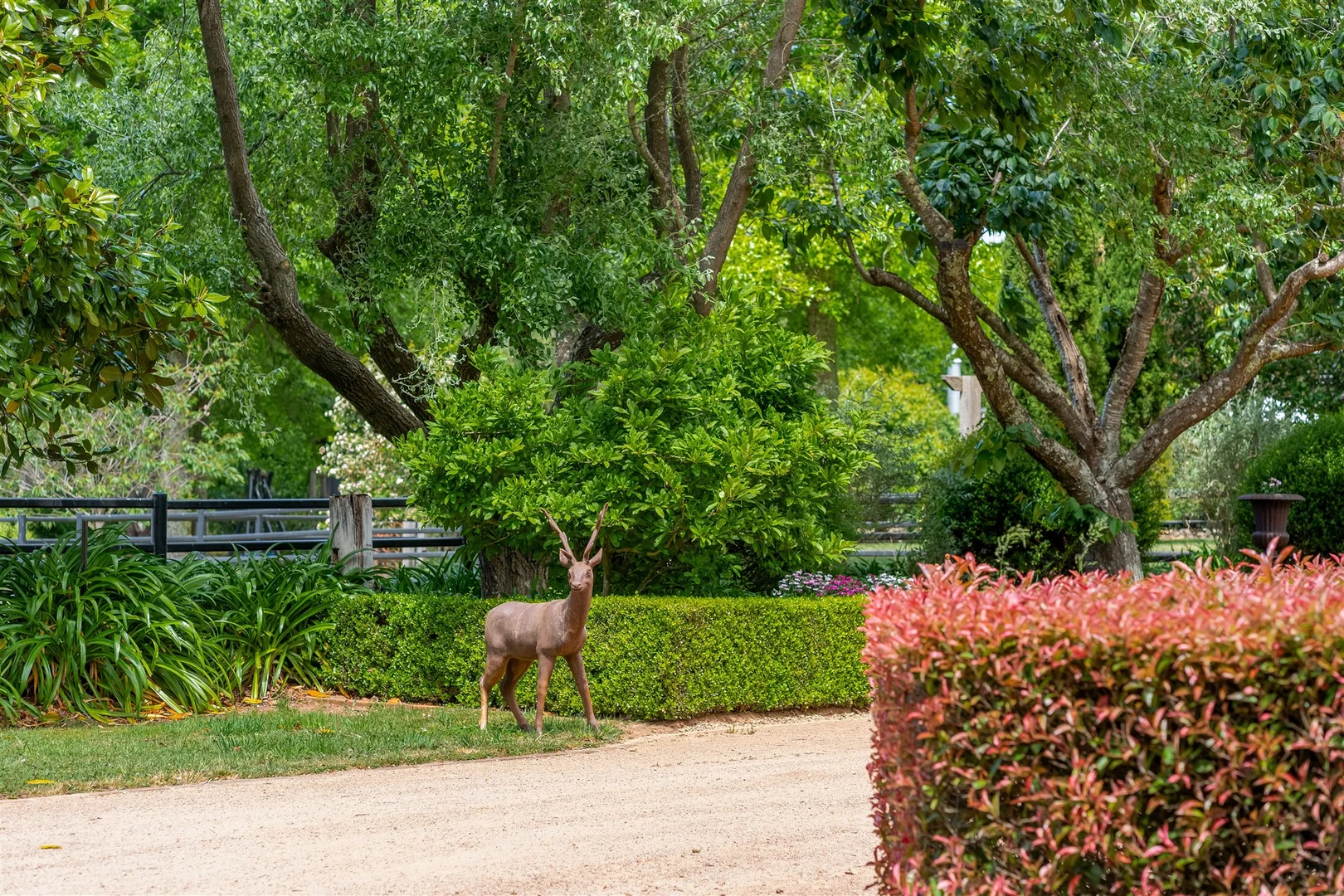 Additional image 22 of 227 Somerset Road, Fitzroy Falls NSW 2577