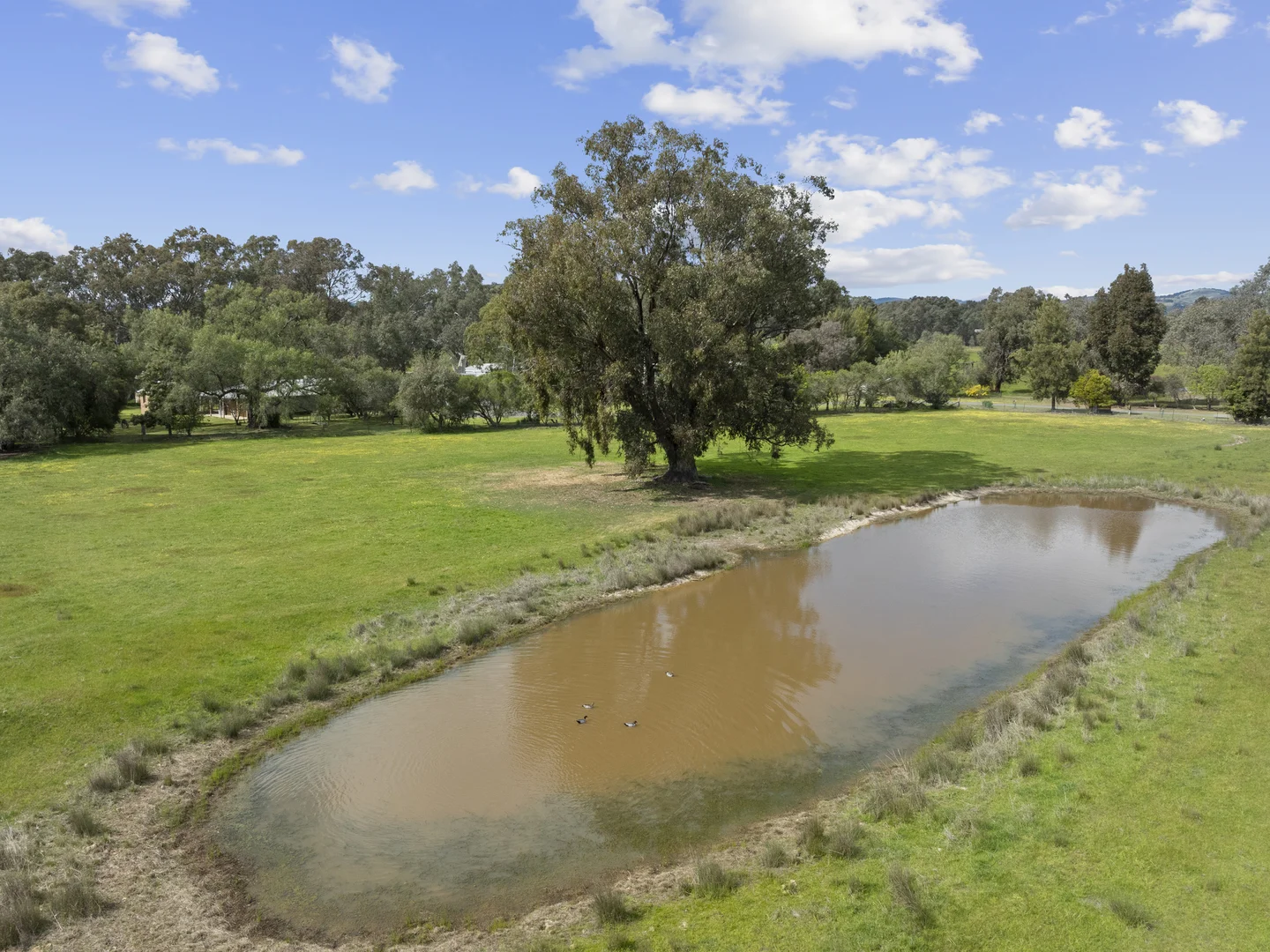 Additional image 22 of 50 Ramage Road, Violet Town VIC 3669